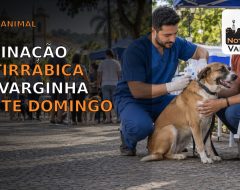 anrirrabicavga