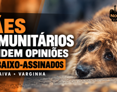 caescomunitarios