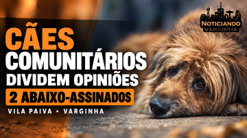 caescomunitarios