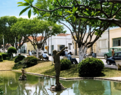fontevarginha