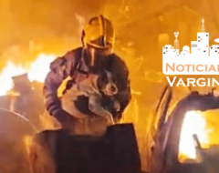 incendio_cachorro