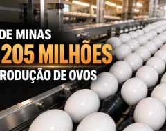 mantiqueirasulmg