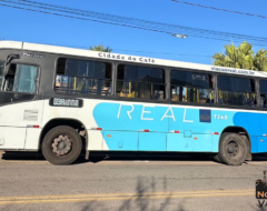 onibus